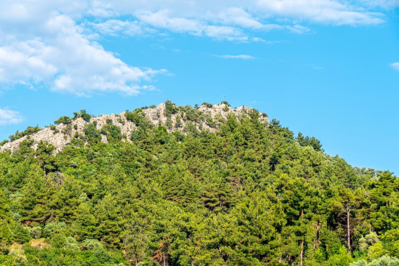 Hotel Lido Thassos エクステリア 写真